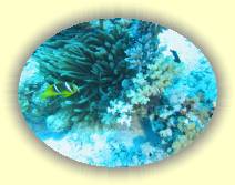 IMG_2007_05_27 14_40_43 * 2272 x 1704 * (726KB)